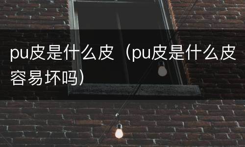 pu皮是什么皮（pu皮是什么皮容易坏吗）