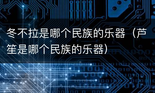 冬不拉是哪个民族的乐器（芦笙是哪个民族的乐器）