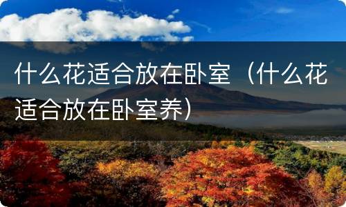 什么花适合放在卧室（什么花适合放在卧室养）