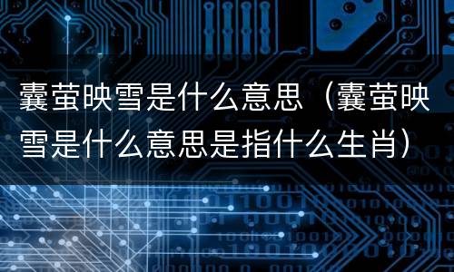 囊萤映雪是什么意思（囊萤映雪是什么意思是指什么生肖）