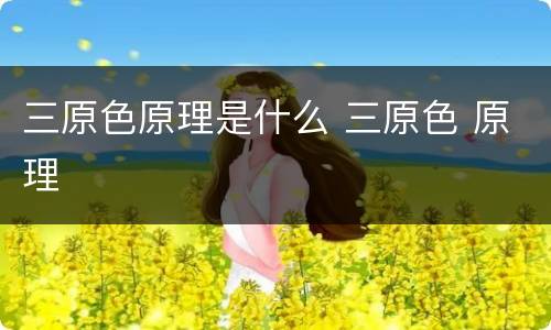 三原色原理是什么 三原色 原理
