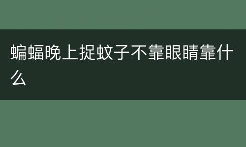 蝙蝠晚上捉蚊子不靠眼睛靠什么