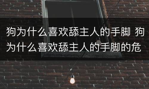 狗为什么喜欢舔主人的手脚 狗为什么喜欢舔主人的手脚的危害