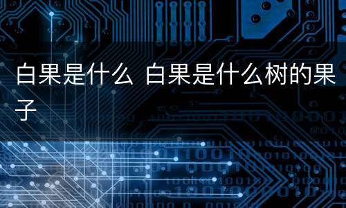 白果是什么 白果是什么树的果子
