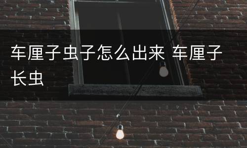 车厘子虫子怎么出来 车厘子 长虫