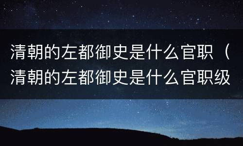 清朝的左都御史是什么官职（清朝的左都御史是什么官职级别）