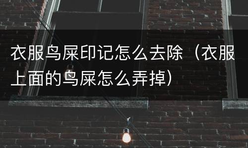 衣服鸟屎印记怎么去除（衣服上面的鸟屎怎么弄掉）