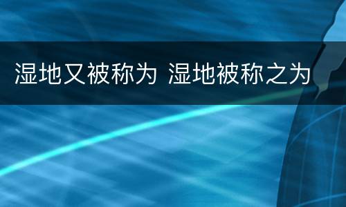 湿地又被称为 湿地被称之为