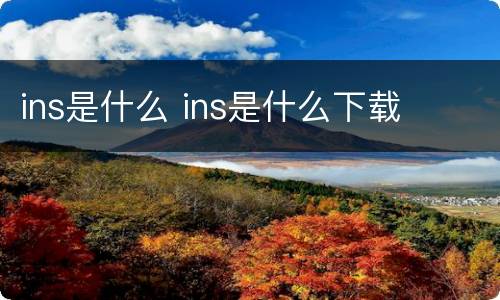 ins是什么 ins是什么下载