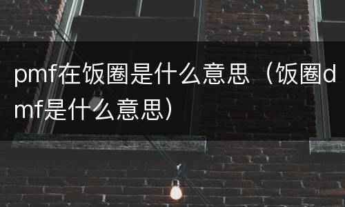 pmf在饭圈是什么意思（饭圈dmf是什么意思）