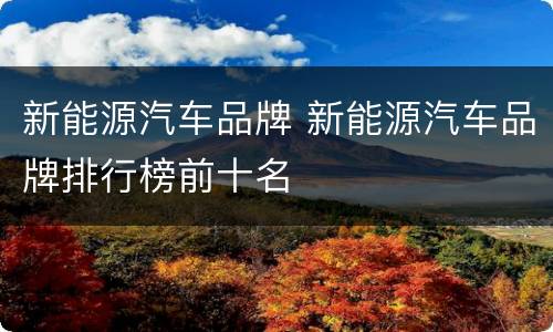 新能源汽车品牌 新能源汽车品牌排行榜前十名