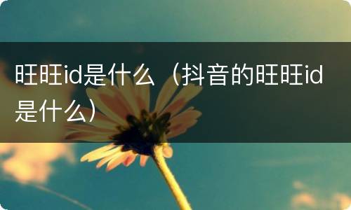 旺旺id是什么（抖音的旺旺id是什么）
