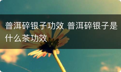 普洱碎银子功效 普洱碎银子是什么茶功效