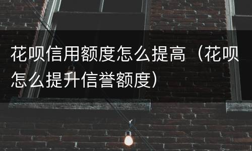 花呗信用额度怎么提高（花呗怎么提升信誉额度）
