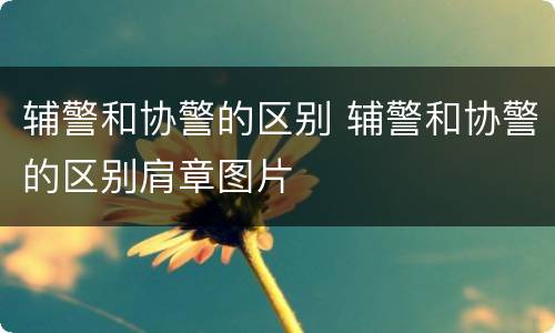 辅警和协警的区别 辅警和协警的区别肩章图片