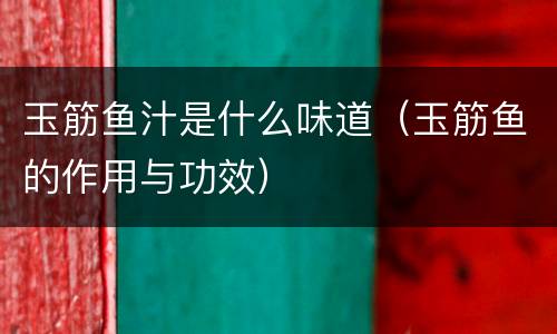 玉筋鱼汁是什么味道（玉筋鱼的作用与功效）