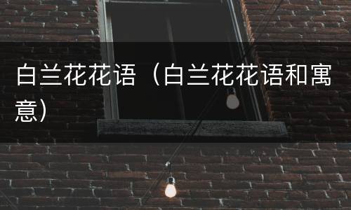 白兰花花语（白兰花花语和寓意）