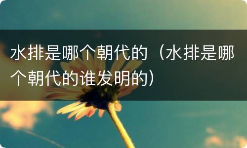 水排是哪个朝代的（水排是哪个朝代的谁发明的）