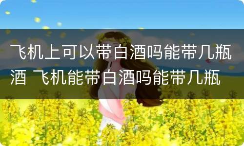 飞机上可以带白酒吗能带几瓶酒 飞机能带白酒吗能带几瓶