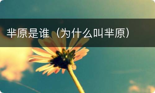 芈原是谁（为什么叫芈原）