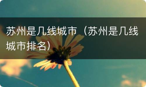 苏州是几线城市（苏州是几线城市排名）