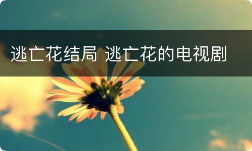 逃亡花结局 逃亡花的电视剧