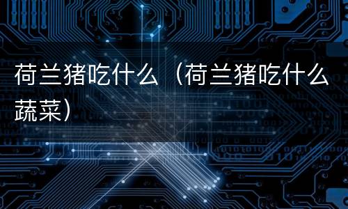 荷兰猪吃什么（荷兰猪吃什么蔬菜）