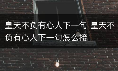 皇天不负有心人下一句 皇天不负有心人下一句怎么接