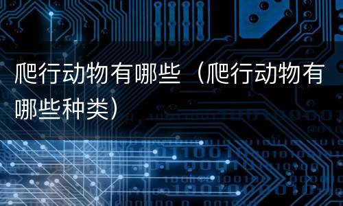 爬行动物有哪些（爬行动物有哪些种类）