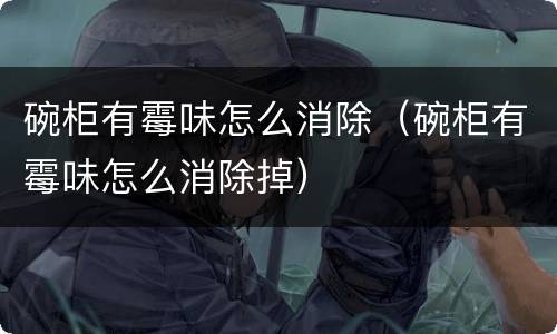 碗柜有霉味怎么消除（碗柜有霉味怎么消除掉）