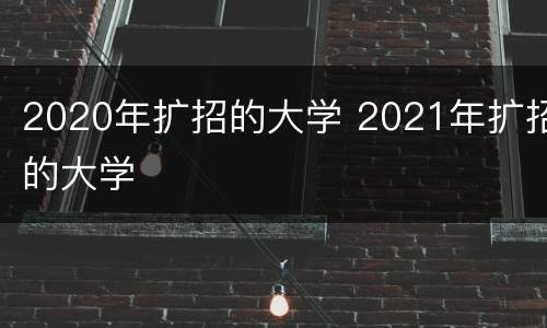 2020年扩招的大学 2021年扩招的大学