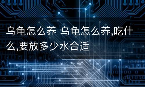 乌龟怎么养 乌龟怎么养,吃什么,要放多少水合适