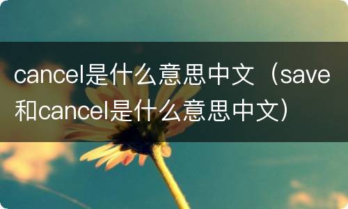 cancel是什么意思中文（save和cancel是什么意思中文）