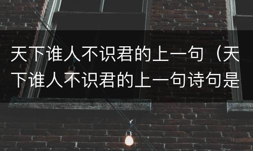 天下谁人不识君的上一句（天下谁人不识君的上一句诗句是什么）