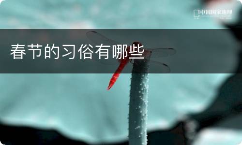 春节的习俗有哪些