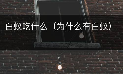 白蚁吃什么（为什么有白蚁）