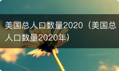 美国总人口数量2020（美国总人口数量2020年）