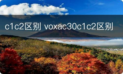 c1c2区别 voxac30c1c2区别