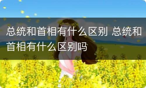 总统和首相有什么区别 总统和首相有什么区别吗