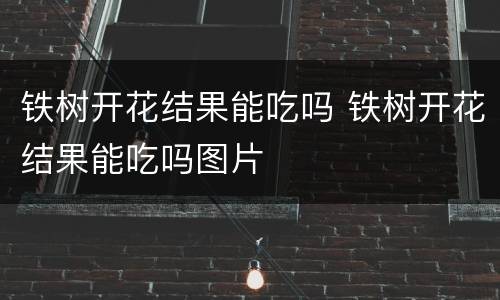 铁树开花结果能吃吗 铁树开花结果能吃吗图片