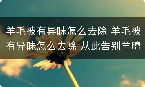 羊毛被有异味怎么去除 羊毛被有异味怎么去除 从此告别羊膻味