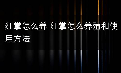 红掌怎么养 红掌怎么养殖和使用方法
