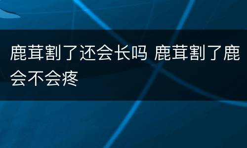 鹿茸割了还会长吗 鹿茸割了鹿会不会疼