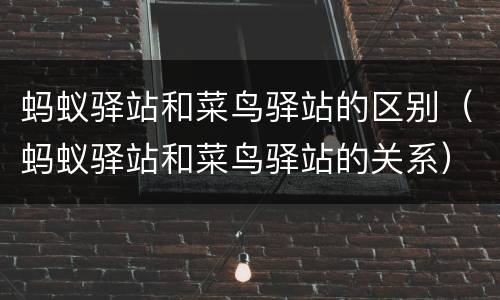 蚂蚁驿站和菜鸟驿站的区别（蚂蚁驿站和菜鸟驿站的关系）