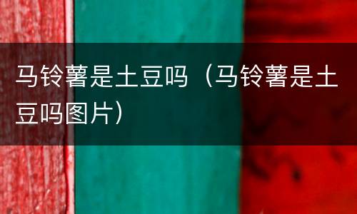 马铃薯是土豆吗（马铃薯是土豆吗图片）