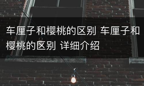 车厘子和樱桃的区别 车厘子和樱桃的区别 详细介绍
