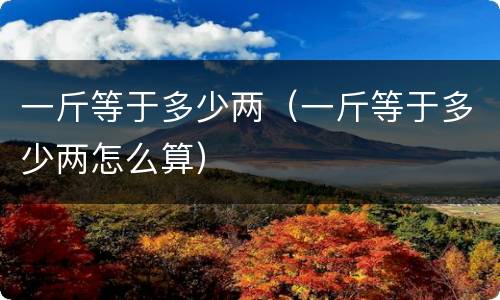 一斤等于多少两（一斤等于多少两怎么算）
