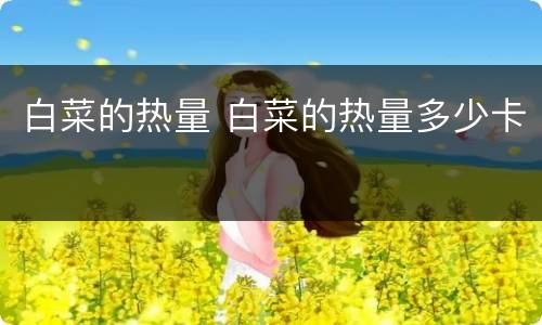 白菜的热量 白菜的热量多少卡