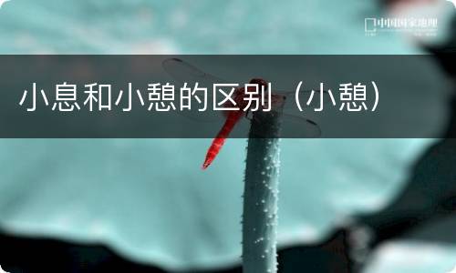 小息和小憩的区别（小憩）