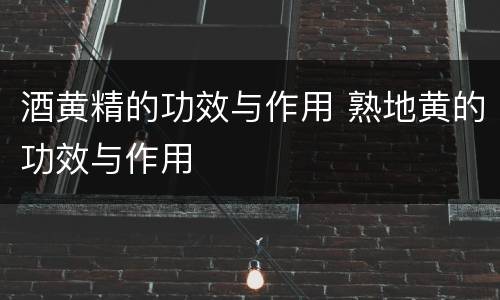 酒黄精的功效与作用 熟地黄的功效与作用